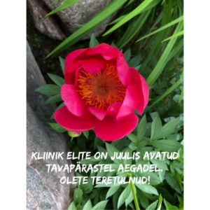 Elite kliiniku töö suvel 2018