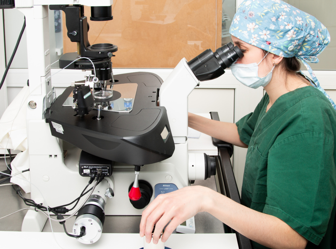 embryology_Elite2025