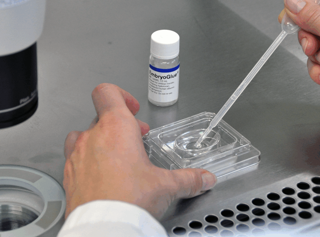 Elite_EmbryoGlue
